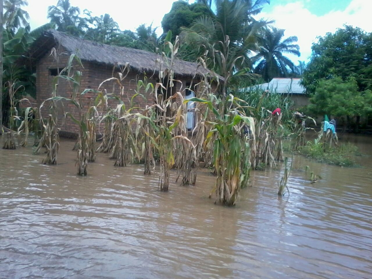 Disaster Image